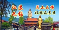 外国美女日屄江苏无锡灵山大佛旅游风景区
