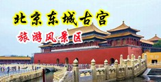 大黑鸡巴操白女人中国北京-东城古宫旅游风景区